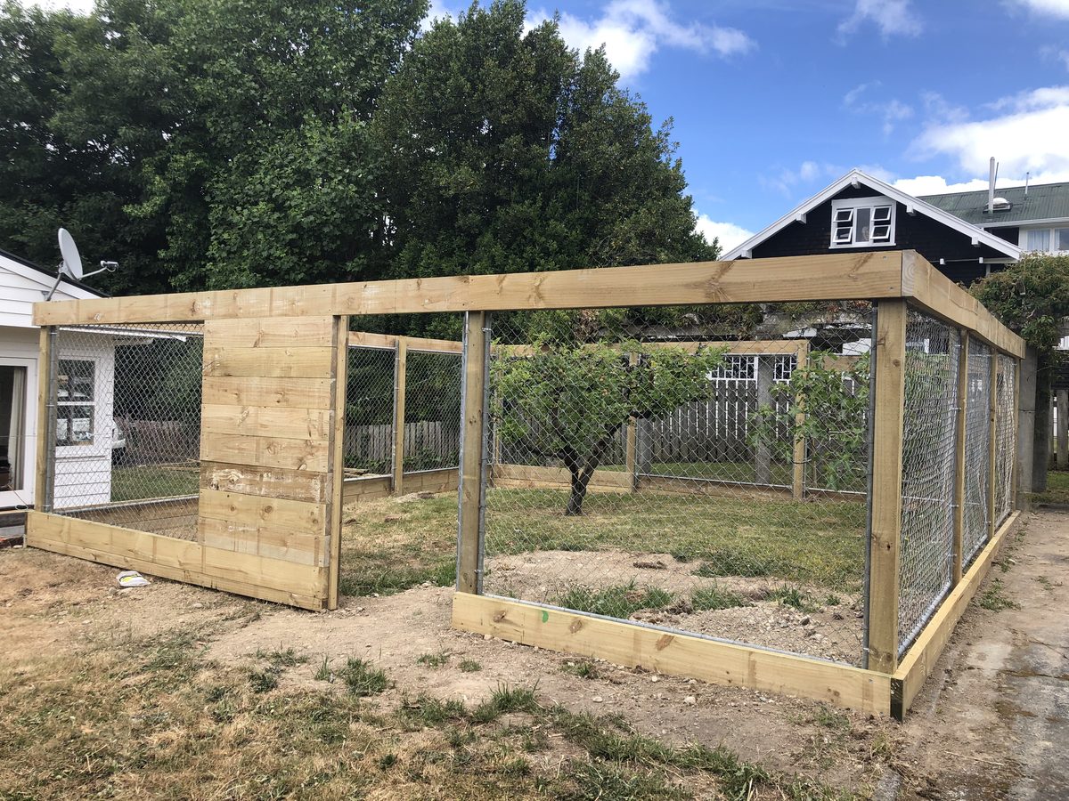 Cat enclosure, Dec 2019, Wairarapa