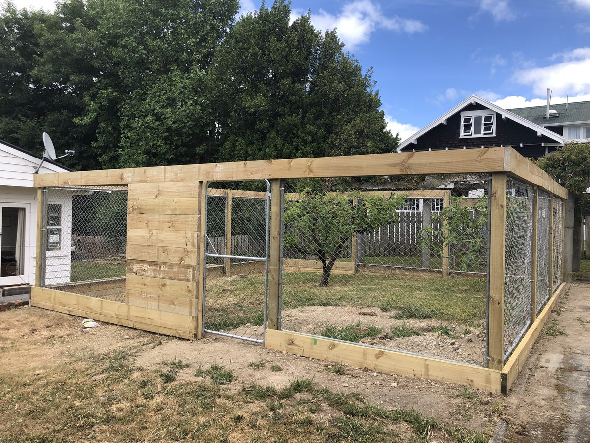 Cat enclosure, Dec 2019, Wairarapa
