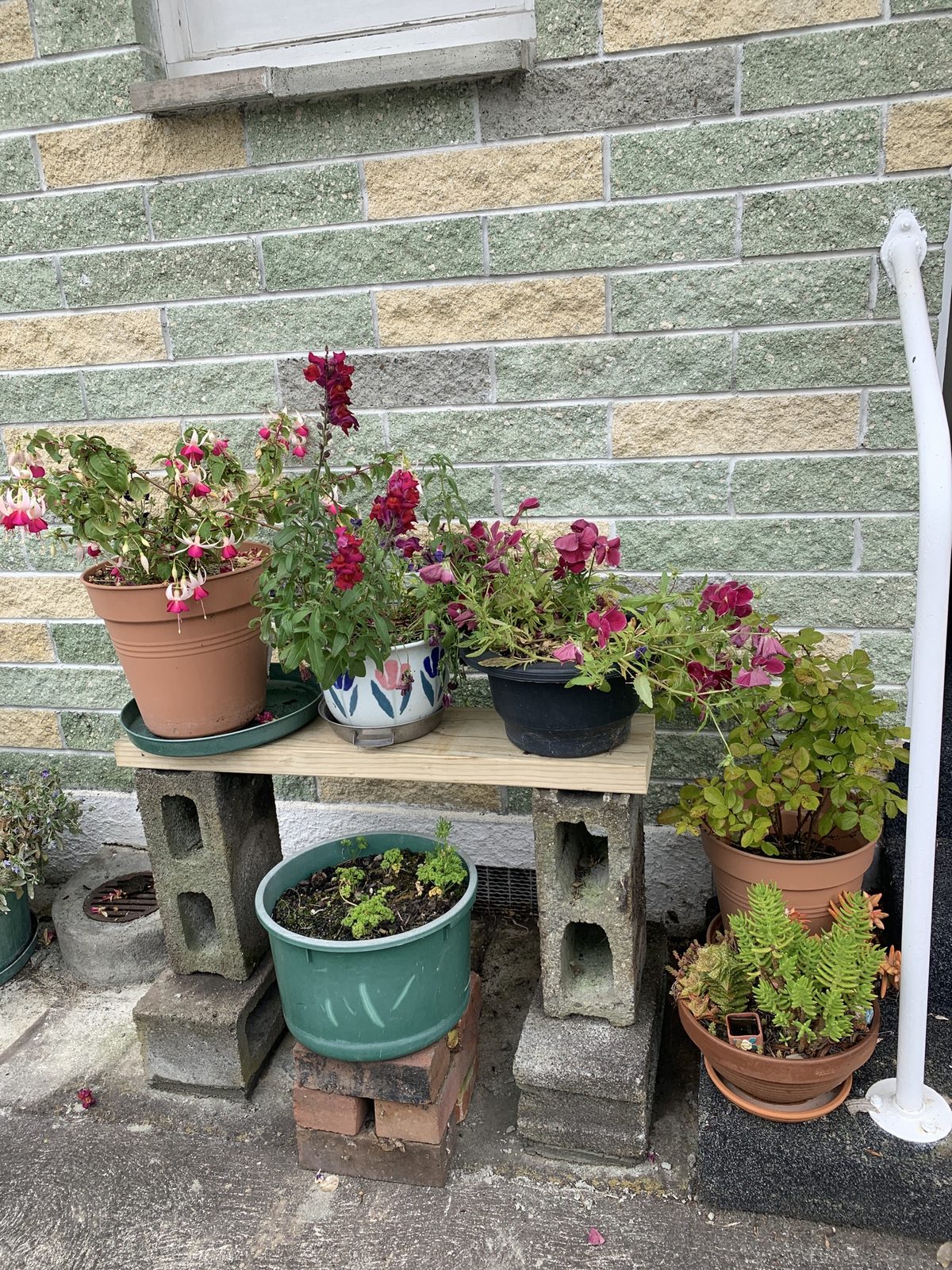 Custom build, Apr 2025, Wairarapa