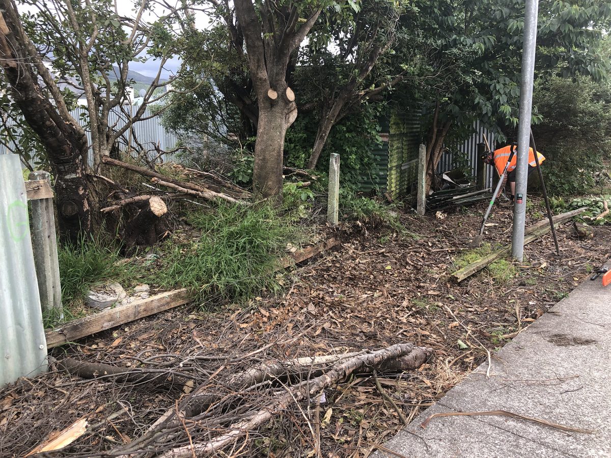 Site clearing, Wairarapa