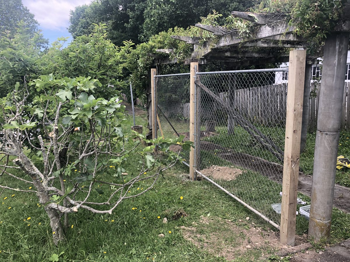Site clearing, Wairarapa