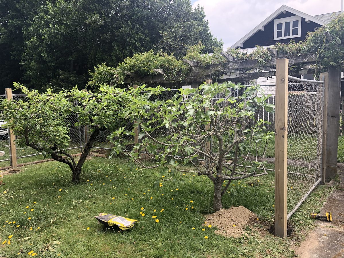 Site clearing, Wairarapa