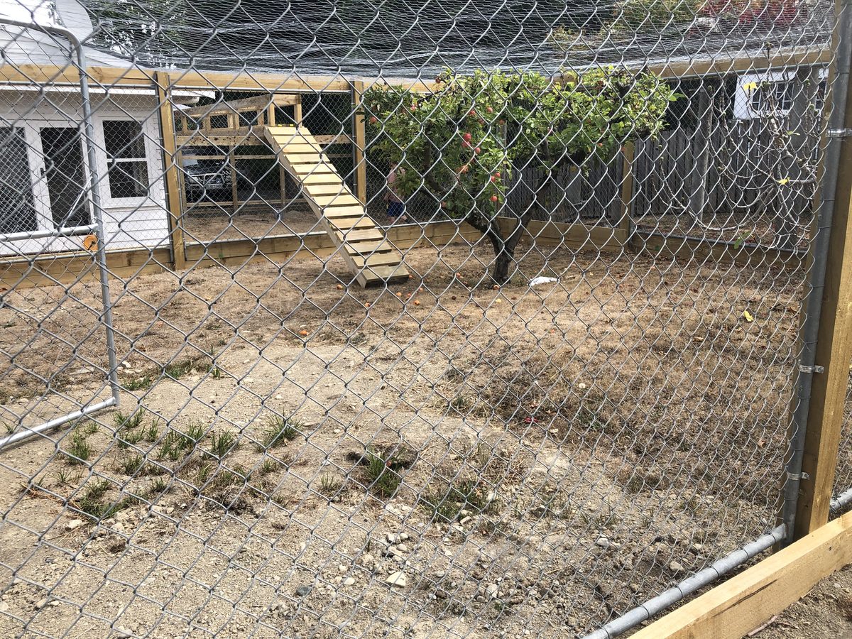 Cat enclosure with deck, Wairarapa
