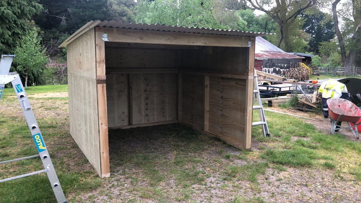 Animal shelter, Wairarapa