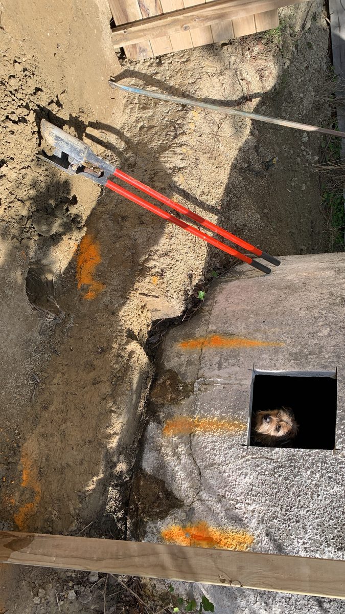 Timber steps, Wairarapa