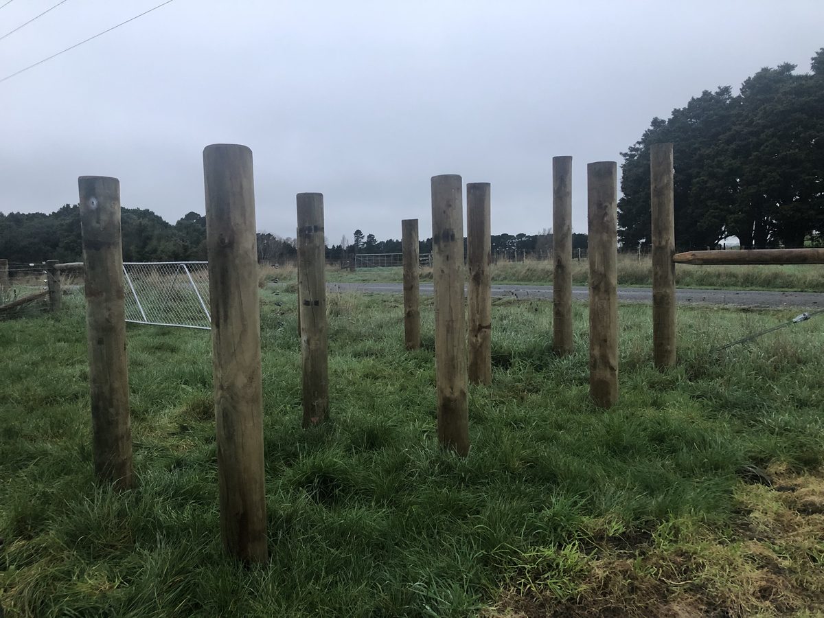 Farm fencing & gates, Jun 2021, Wairarapa