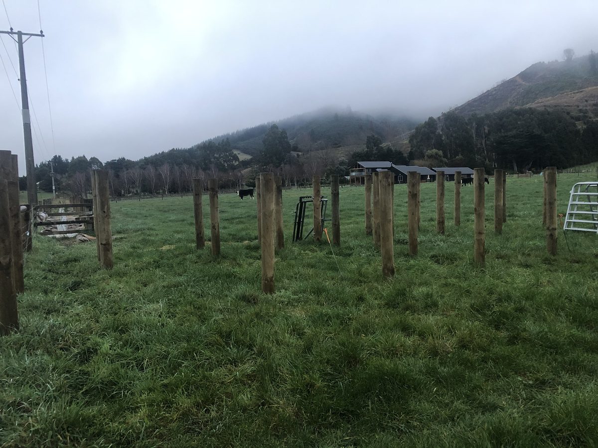 Farm fencing & gates, Jun 2021, Wairarapa