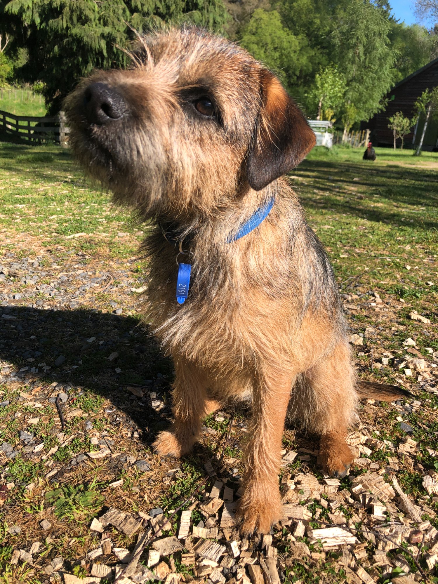 The Wairarapa Handyman logo