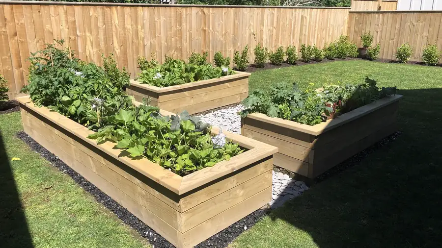 Raised vegetable beds built by The Wairarapa Handyman